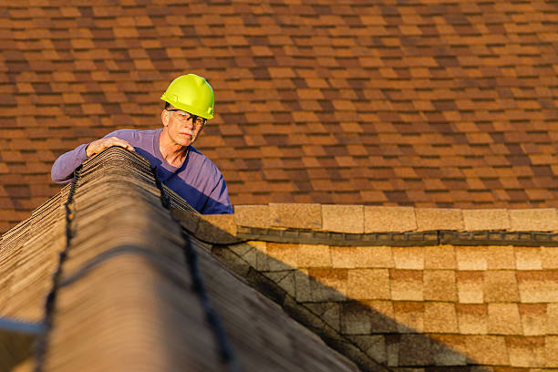 Best Roof Leak Repair  in Freemansburg, PA