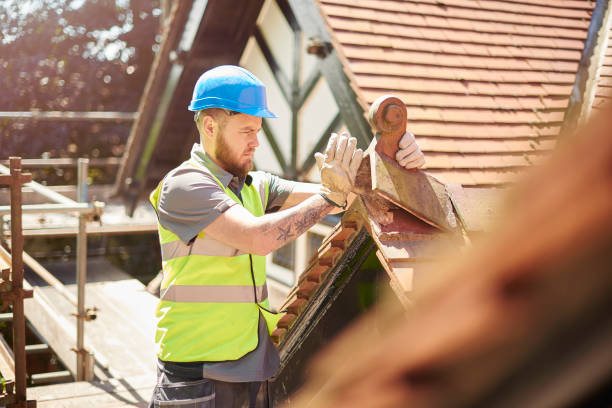 Best Flat Roof Repair Services  in Freemansburg, PA